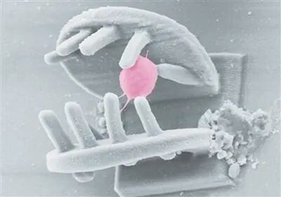 中国科学院团队打造3D手型微纳机器人(图2)