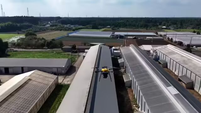 高科技养鸡：日本NTT开发激光无人机，红绿“光剑”齐射撑起防禽流感“保护伞”(图1)