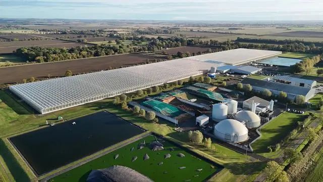 1000磅重的轮子和机器人正在种植戴森草莓(图3) 1000磅重的轮子和机器人正在种植戴森草莓(图3)