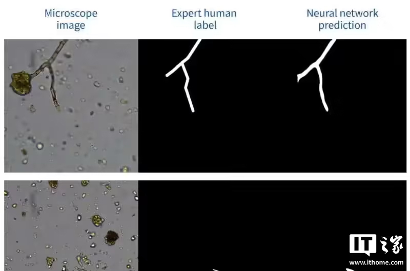 AI 赋能传统显微镜,美研团队研发低成本土壤真菌检测系统(图1) AI 赋能传统显微镜,美研团队研发低成本土壤真菌检测系统(图1)