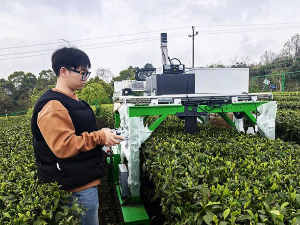 山地名优茶智能采摘机器人上岗 2秒采摘一片茶叶(图1) 山地名优茶智能采摘机器人上岗 2秒采摘一片茶叶(图1)