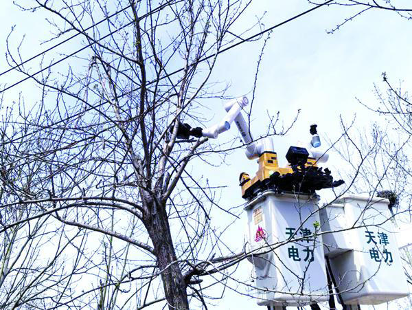 全市首次应用机器人进行带电修剪树枝作业(图1)