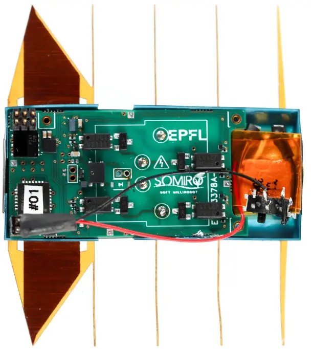 科学家开发出6克重的微型机器人,可以轻松地在狭窄的空间中游泳 科学家开发出6克重的微型机器人,可以轻松地在狭窄的空间中游泳(图2)