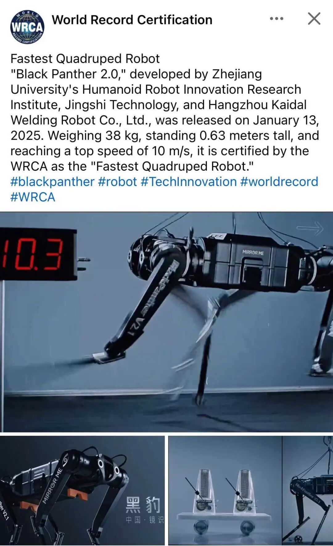 10米/秒!中国造出"世界最快四足机器人",黑豹2.0刷新世界纪录!(图1) 10米/秒!中国造出"世界最快四足机器人",黑豹2.0刷新世界纪录!(图1)