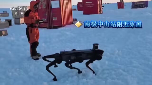 我国自主研发的六足机器狗在南极打卡上班：运输、开路双管齐下(图1)