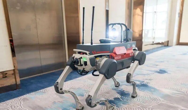 长沙消防首台四足机器人验收了！可在多变环境快速越障(图1)