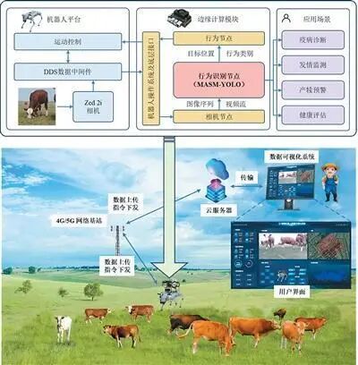 放牧机器人“慧眼识牛”(图1) 放牧机器人“慧眼识牛”(图1)