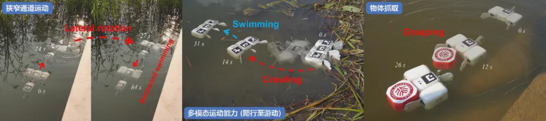  北京大学谢广明教授团队最新《Science Advances》研究成果：能“装”会“拼”的机器鱼，拓展水下机器人能力的新边界(图5)