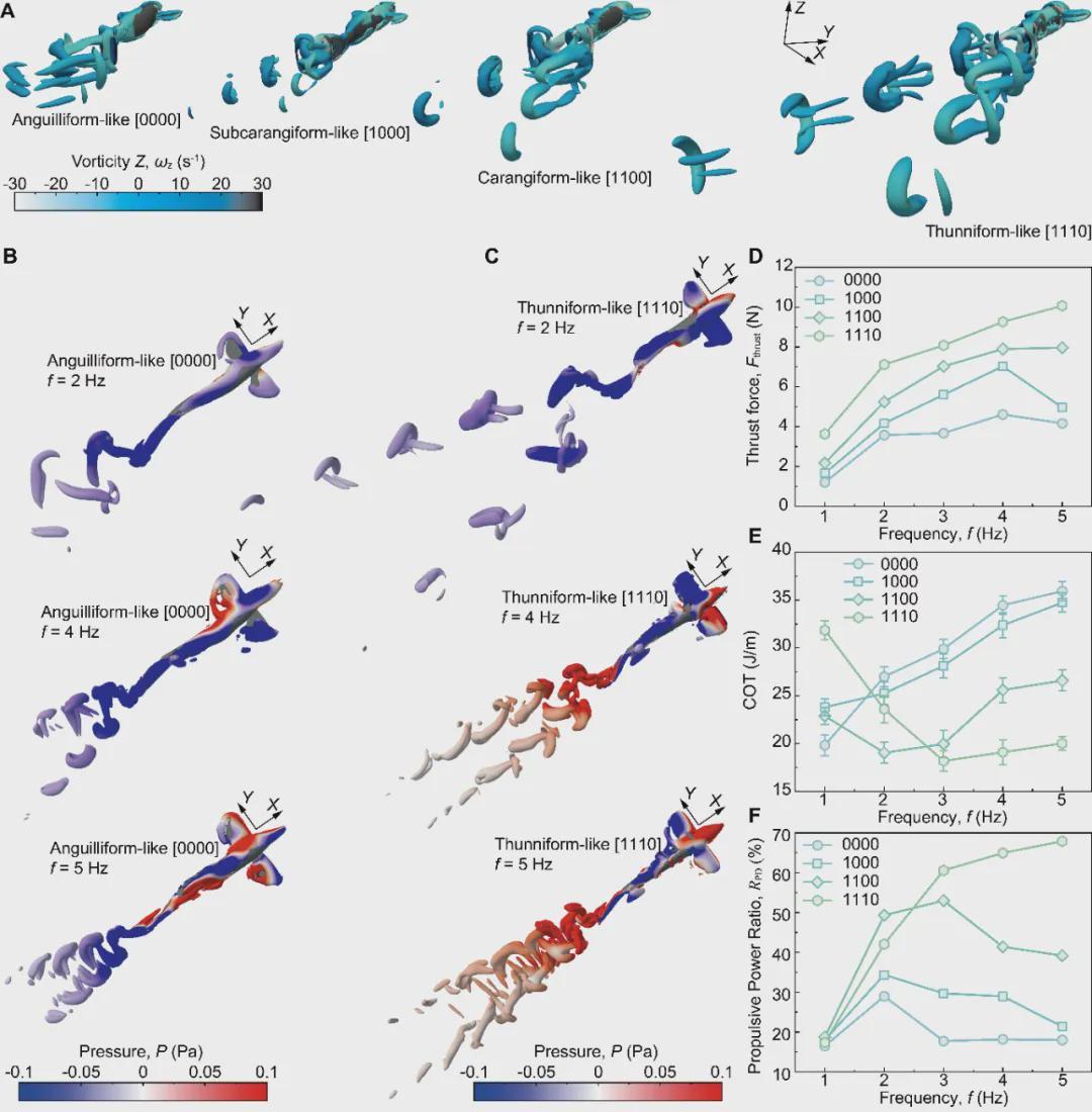  SA重磅！北大机器智能实验室这条机器鱼会变身，0.5秒从鳗鱼变金枪鱼(图12)