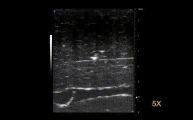 细胞快递员兼私人教练？浙大等团队打造会健身的生物混合软体微型机器人(图7)