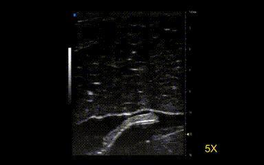 细胞快递员兼私人教练？浙大等团队打造会健身的生物混合软体微型机器人(图8)