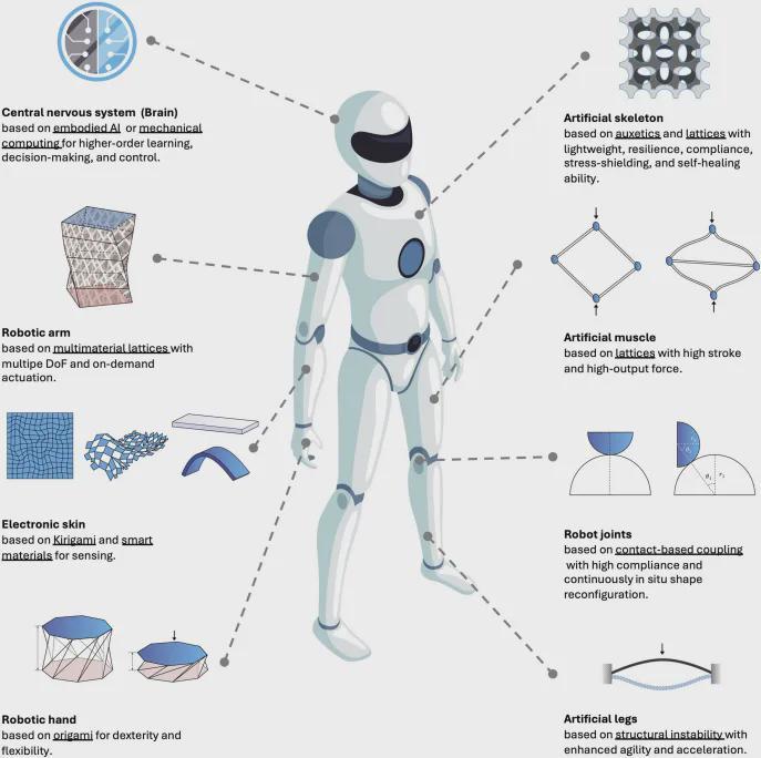 绕过大脑思考，超材料机赋予机器人身体本能！ | Science Robotics(图2)
