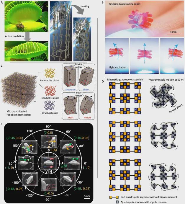 绕过大脑思考，超材料机赋予机器人身体本能！ | Science Robotics(图6)