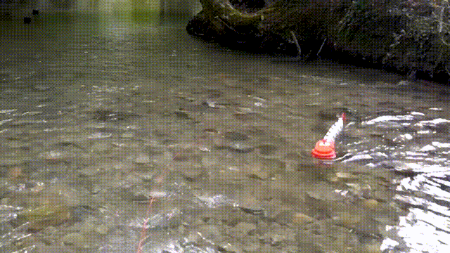 Sci.Rob.最新封面！EPFL造出复现斑马鱼视动反应的仿生机器鱼(图7)