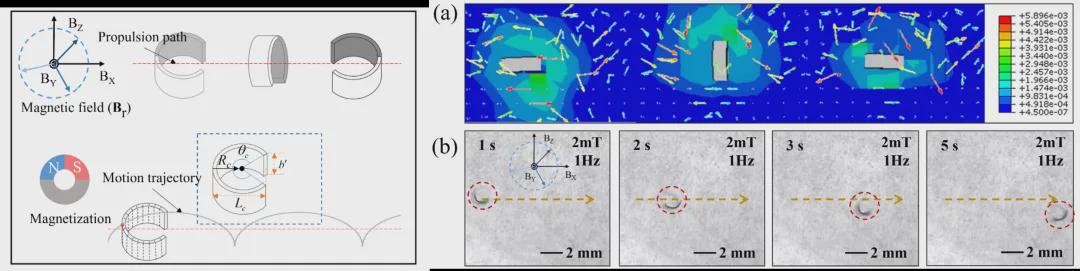 受海洋蛞蝓启发的微型“变形金刚”？北理工团队TRO发表双稳态软体微机器人，实现复杂狭缝地形自由穿梭！(图9)