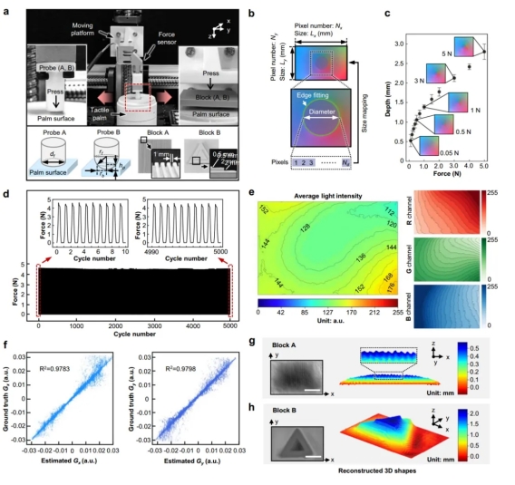 上交大Nature子刊重磅：视触觉掌指协调的软体机器人手！(图4)
