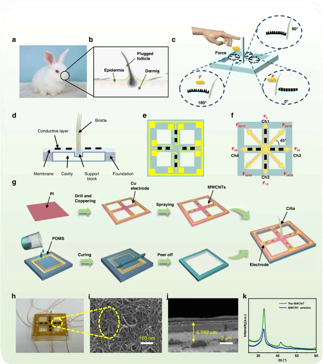  ​中北大学电子测试与测量技术重点实验室打造柔性仿生触须传感器(图1)