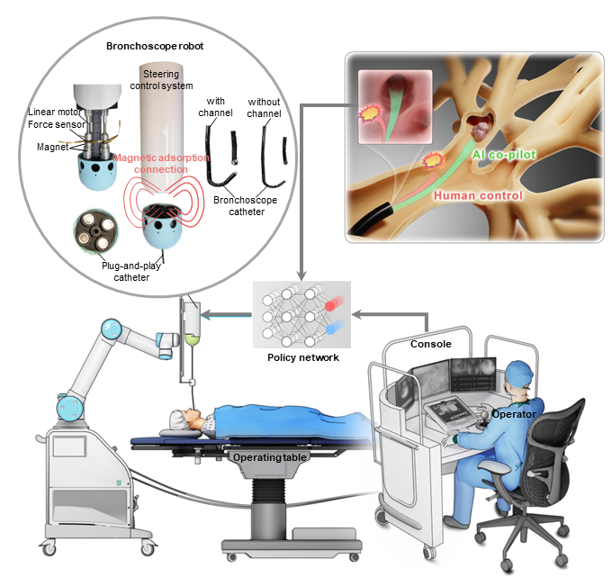 浙江大学控制科学与工程学院陆豪健、王越团队在《Nature Communications》上发表人工智能辅助驾驶气管镜机器人研究成果(图2)