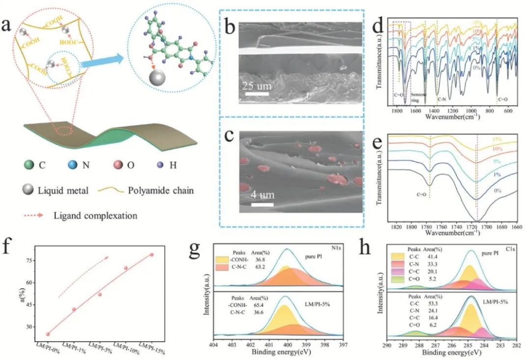 中科院最新研究成果 受植物卷须启发 利用液态金属打造可编程光热执行器(图3)