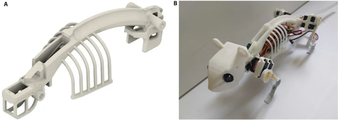 Science Robotics最新研究：柔性脊柱全面提升老鼠机器人的运动能力！(图16)