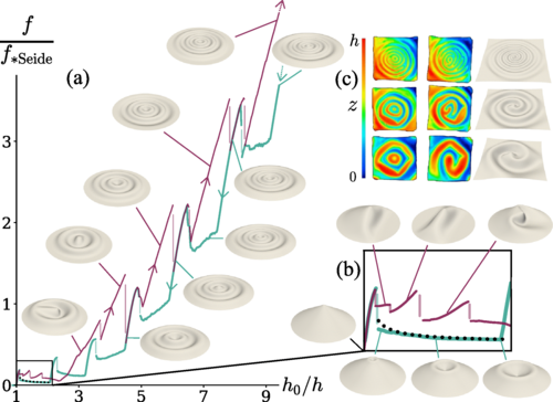 剑桥大学研发基于软体机器人锥形液晶弹性体LCE材料 可承受数千倍自身重量(图3)