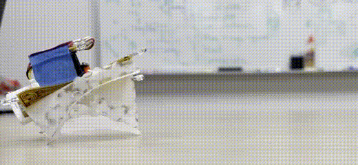 ​四足机器人也走“极简风”？一个马达和电路板就能实现多种复杂功能！(图3)