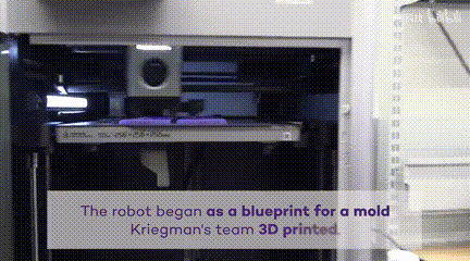 AI开始创造生物了？仅用 26 秒设计出可行走的机器人！美国西北大学出品(图12)