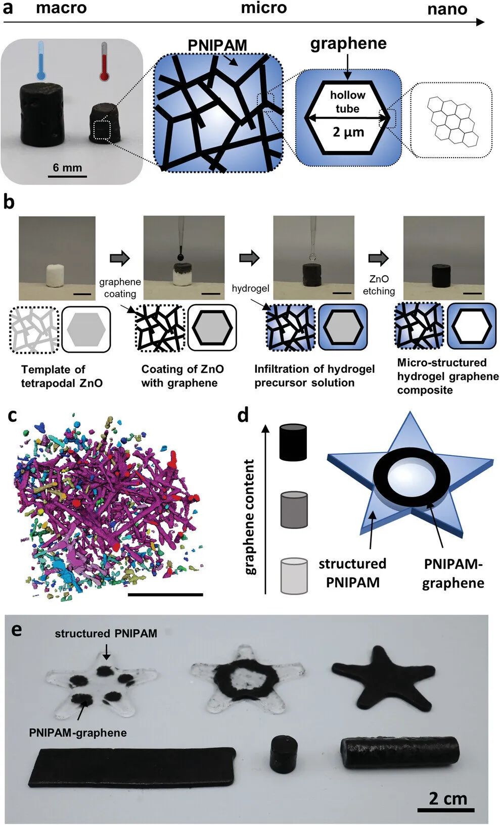 ​基尔大学研发水凝胶新材料 形似人类肌肉 可实现短时间内受控方式扩张与收缩(图2)