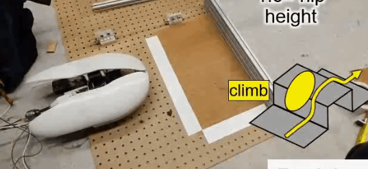 为了让蟑螂少“偷懒”，日本大阪大学团队用到了这些方法(图1)