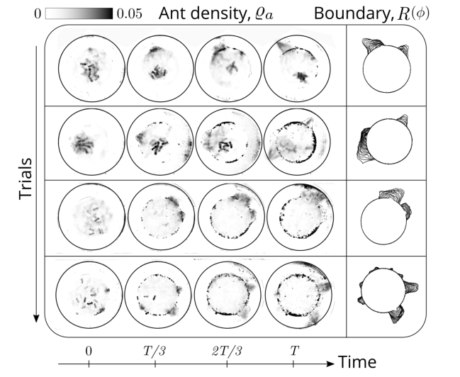哈佛大学研发协同“越狱”的蚂蚁机器人，可应用于解决其他复杂问题(图4)