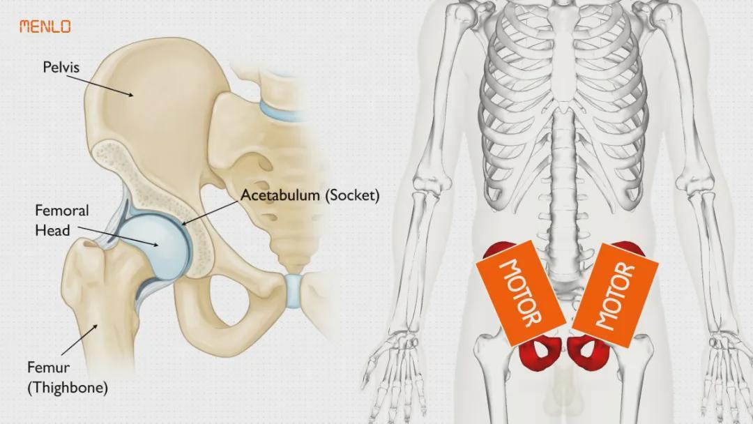 这支团队100天攻克人形双腿，目标成本2.5万美元整机开源可复刻！(图4)